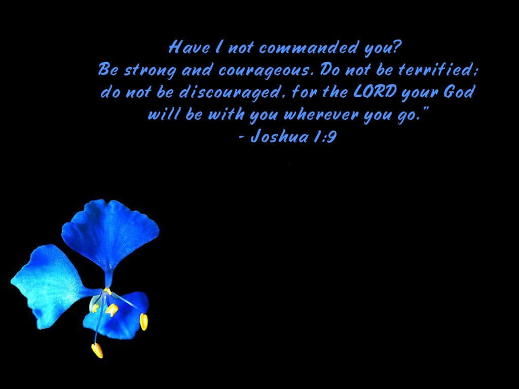 Joshua 1:9, blue flower, yellow stamens, SD Desktop Wallpaper