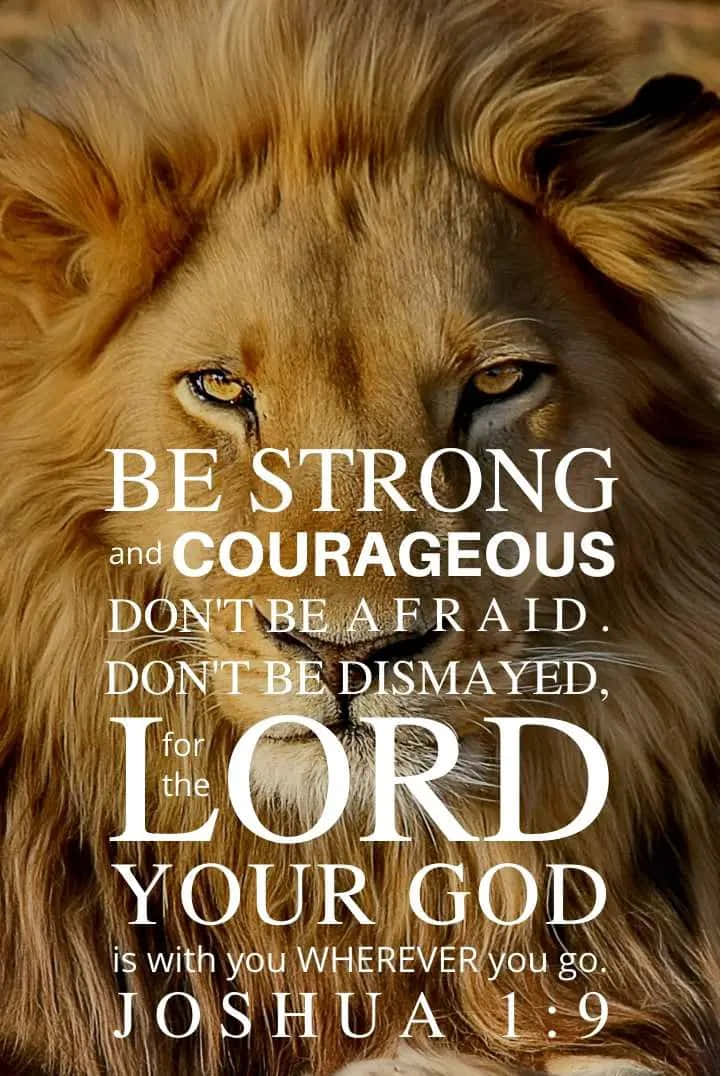 Joshua 1:9, inspirational lion, golden eyes, SD Phone Wallpaper