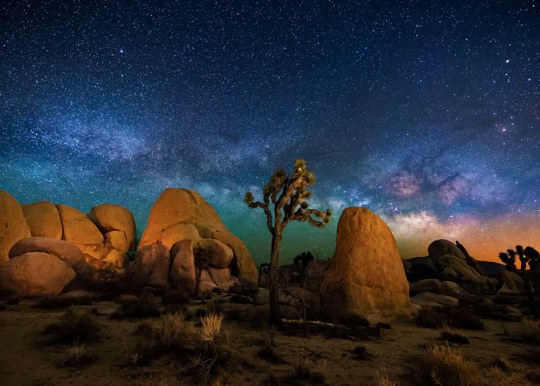 Joshua Tree National Park