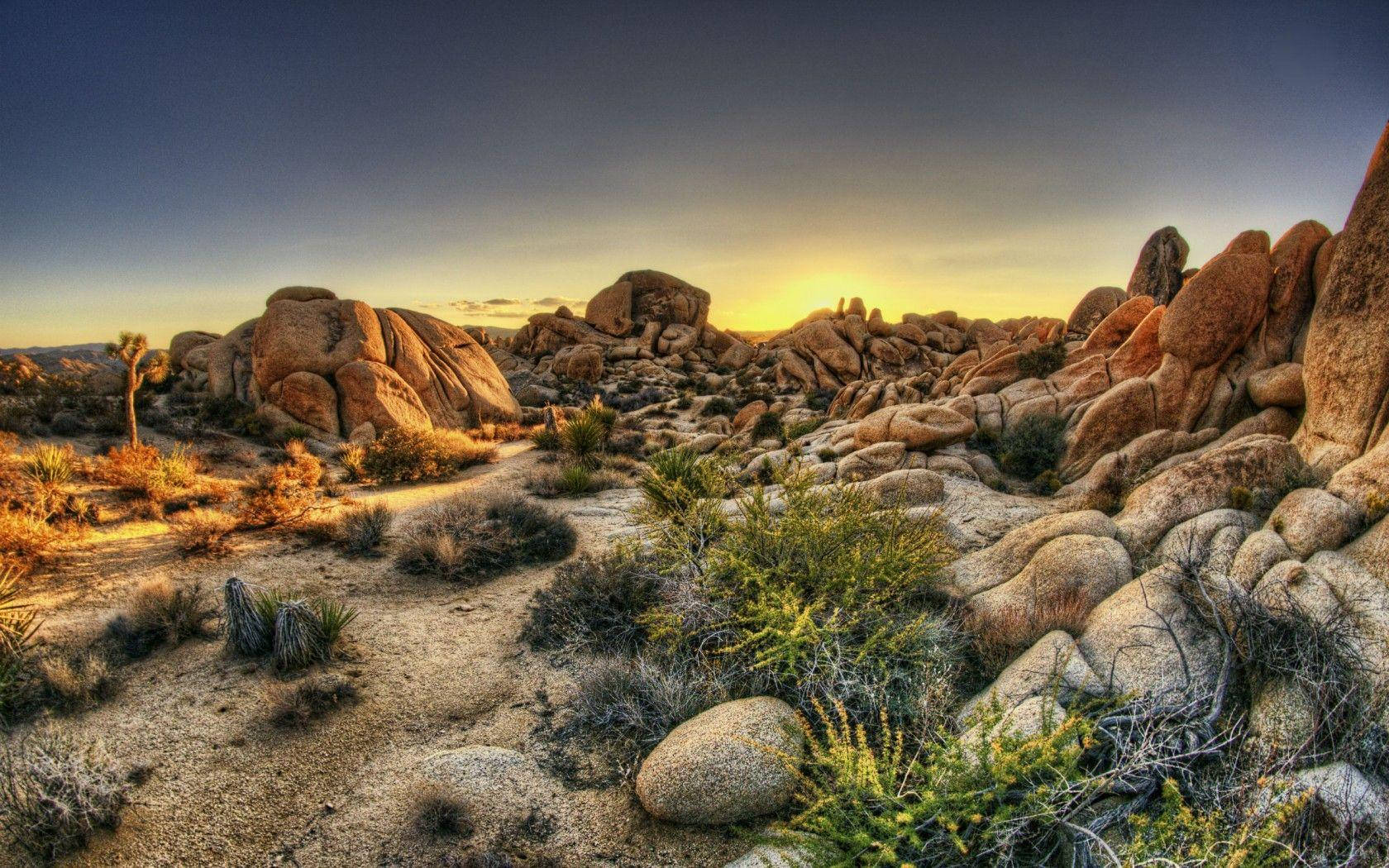Joshua Tree National Park, giant boulders, sparse cacti, HD Desktop Wallpaper