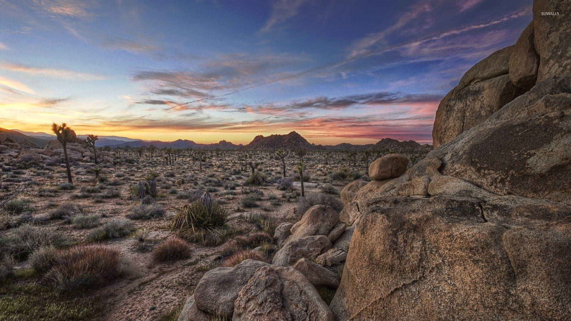 Joshua Tree National Park, Joshua trees, boulders, Full HD Desktop Wallpaper