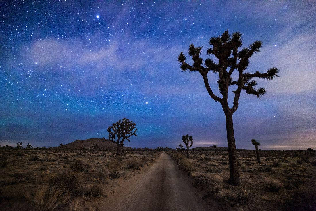 Joshua Tree National Park, blue night sky, dirt road, SD Desktop Wallpaper