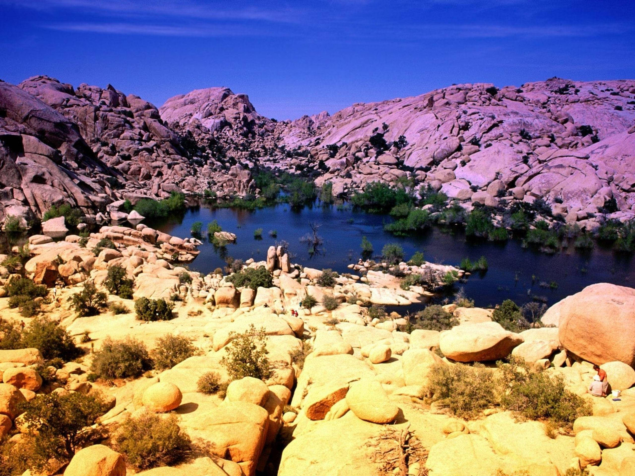 Joshua Tree National Park, small lake, deep blue pool, 2K Desktop Wallpaper