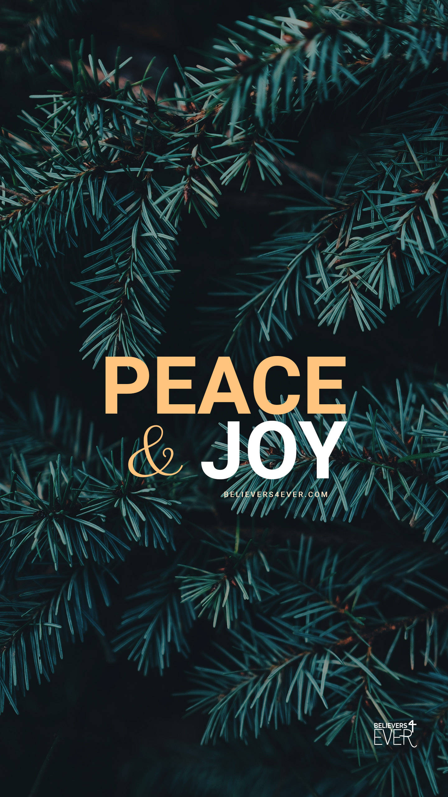 peace and joy, dark teal, pine needles, 2K Phone Wallpaper