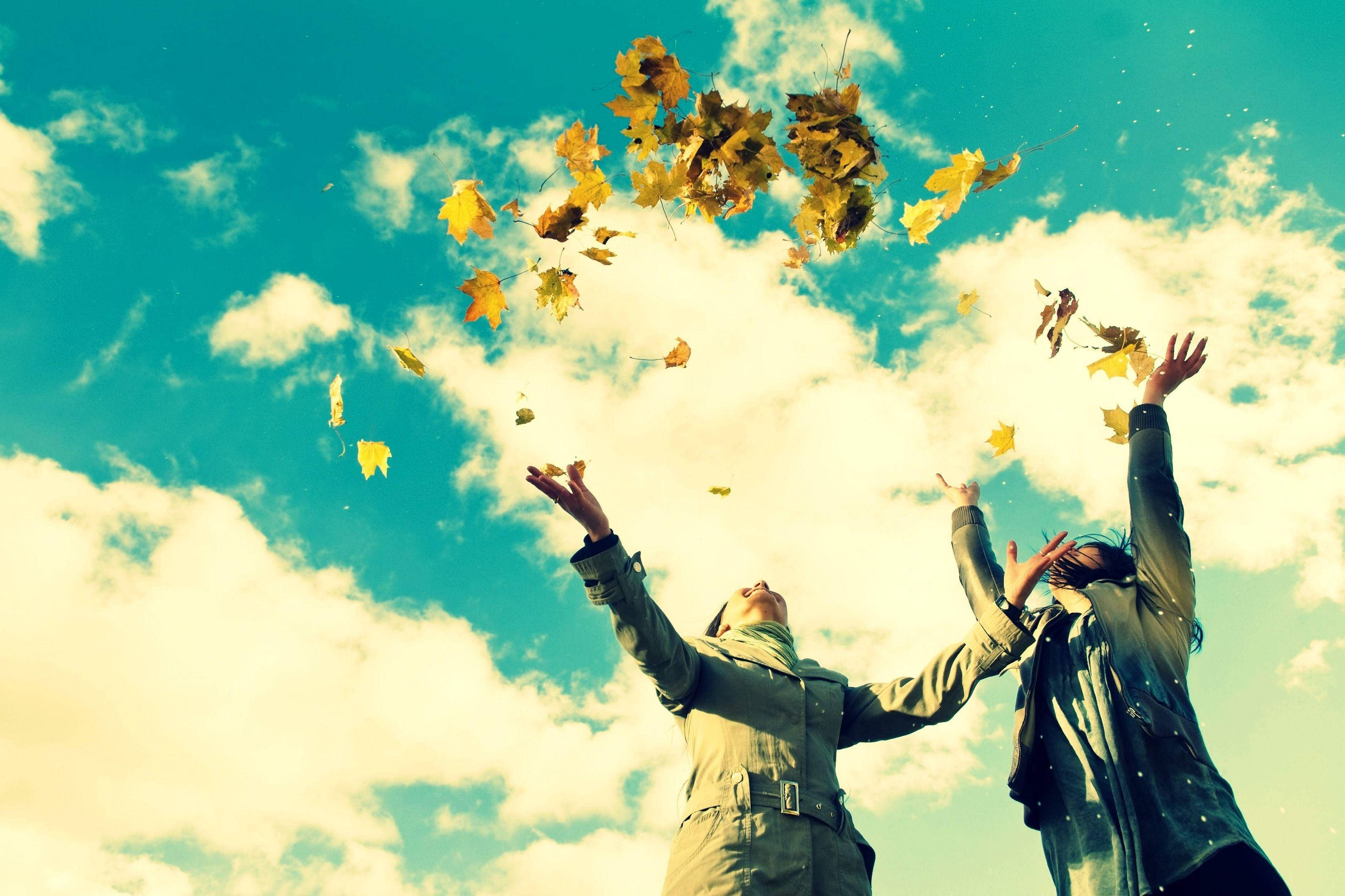 autumn leaves, golden, vibrant teal sky, 2K Desktop Wallpaper