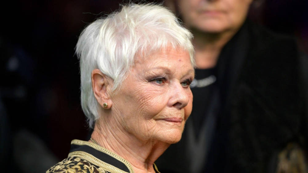 Judi Dench, white hair, gentle smile, SD Desktop Wallpaper