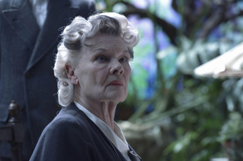 Judi Dench, white curled hair, outdoors, SD Desktop Wallpaper