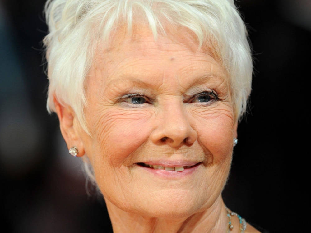 Judi Dench, short white hair, blue eyes, SD Desktop Wallpaper