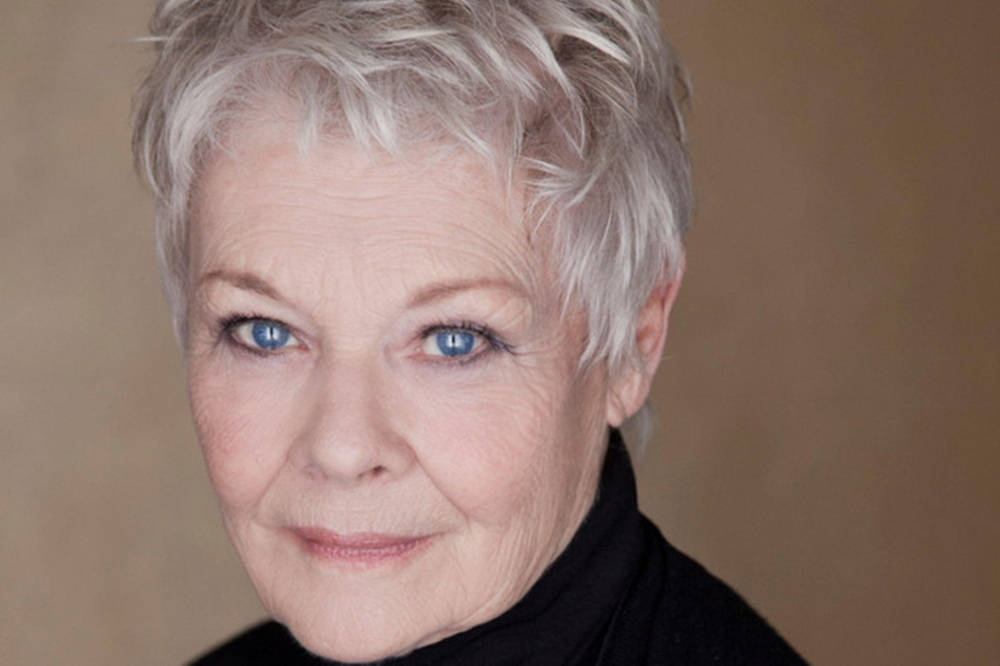 Judi Dench, British actress, short silver hair, SD Desktop Wallpaper