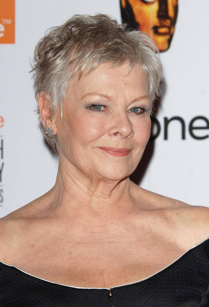 Judi Dench, short gray hair, blue eyes, SD Phone Wallpaper