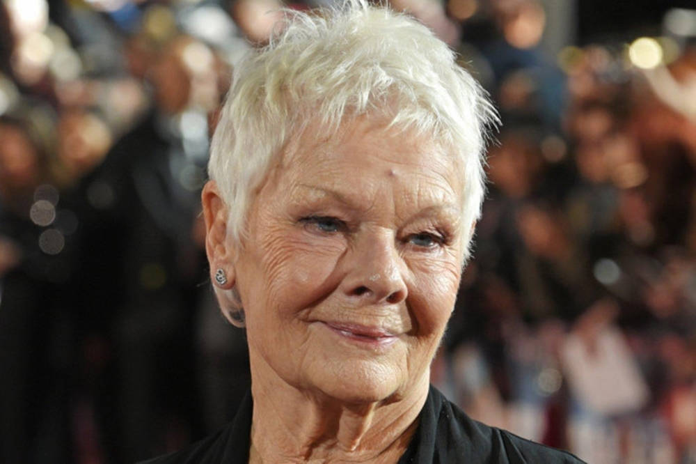Judi Dench, short white hair, close-up portrait, SD Desktop Wallpaper