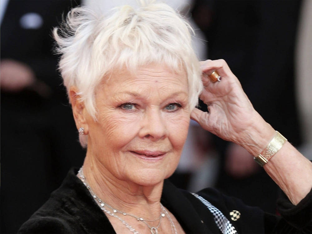 Judi Dench, short white hair, red carpet event, SD Desktop Wallpaper