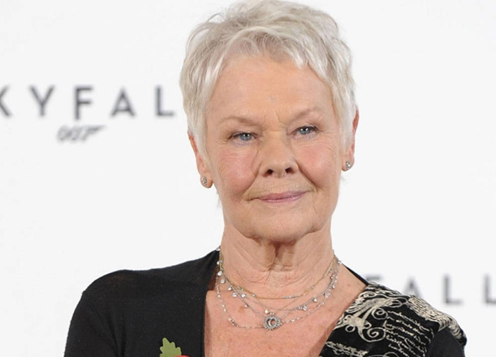 Judi Dench, movie premiere, short silver hair, SD Desktop Wallpaper
