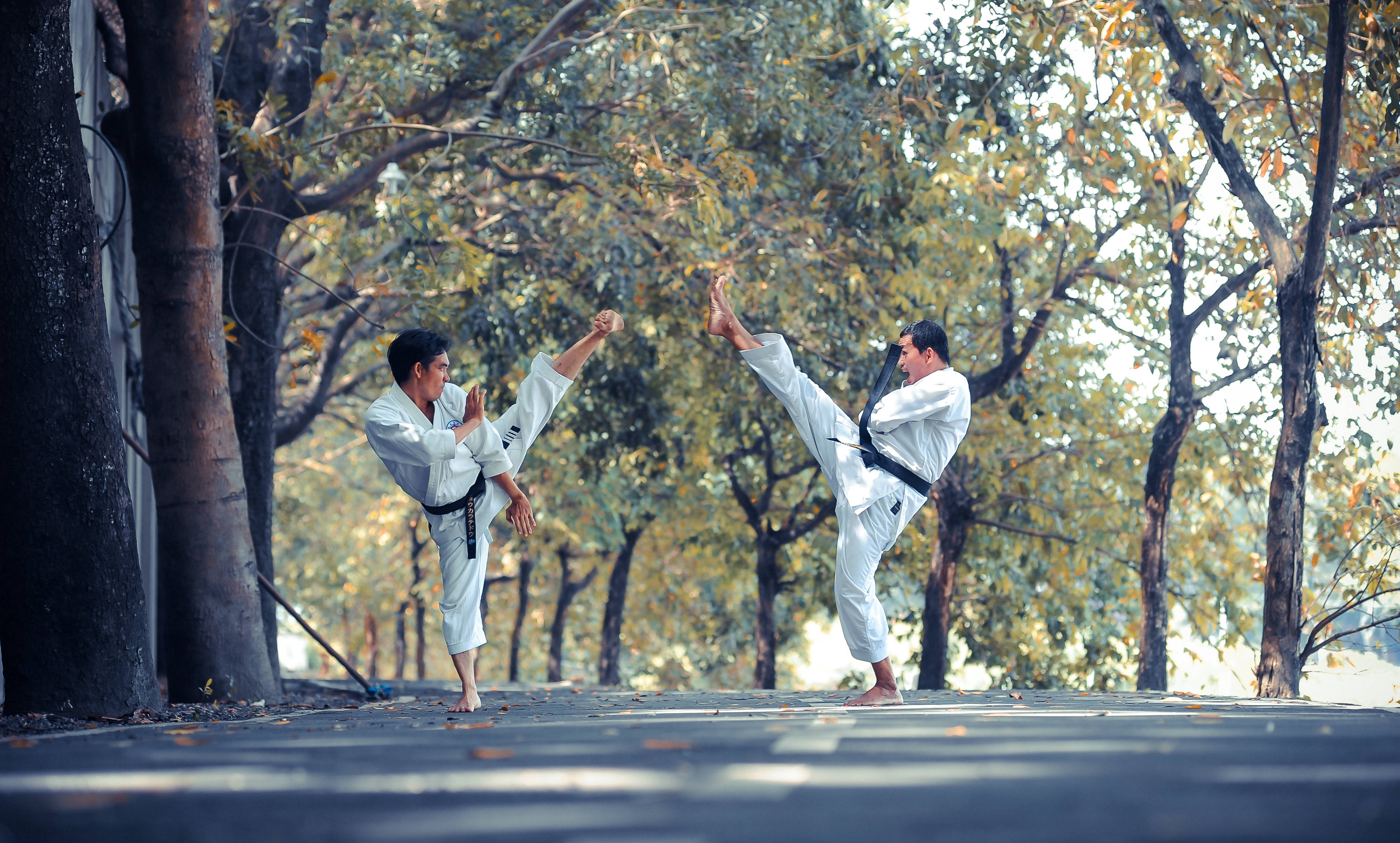 Judo, white uniforms, high kicks, 4K Desktop Wallpaper