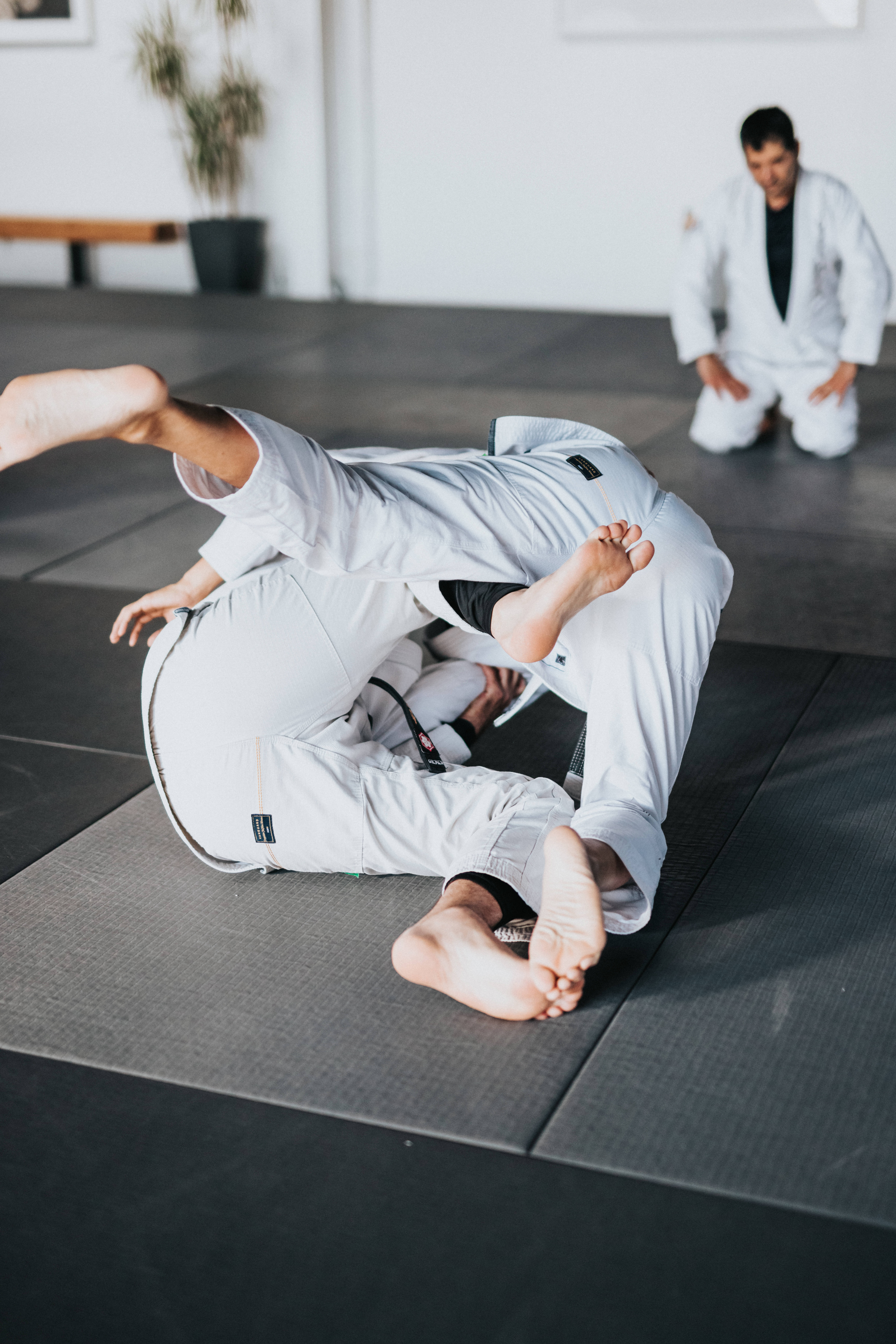 judo, white gi, dark mats, 8K Phone Wallpaper