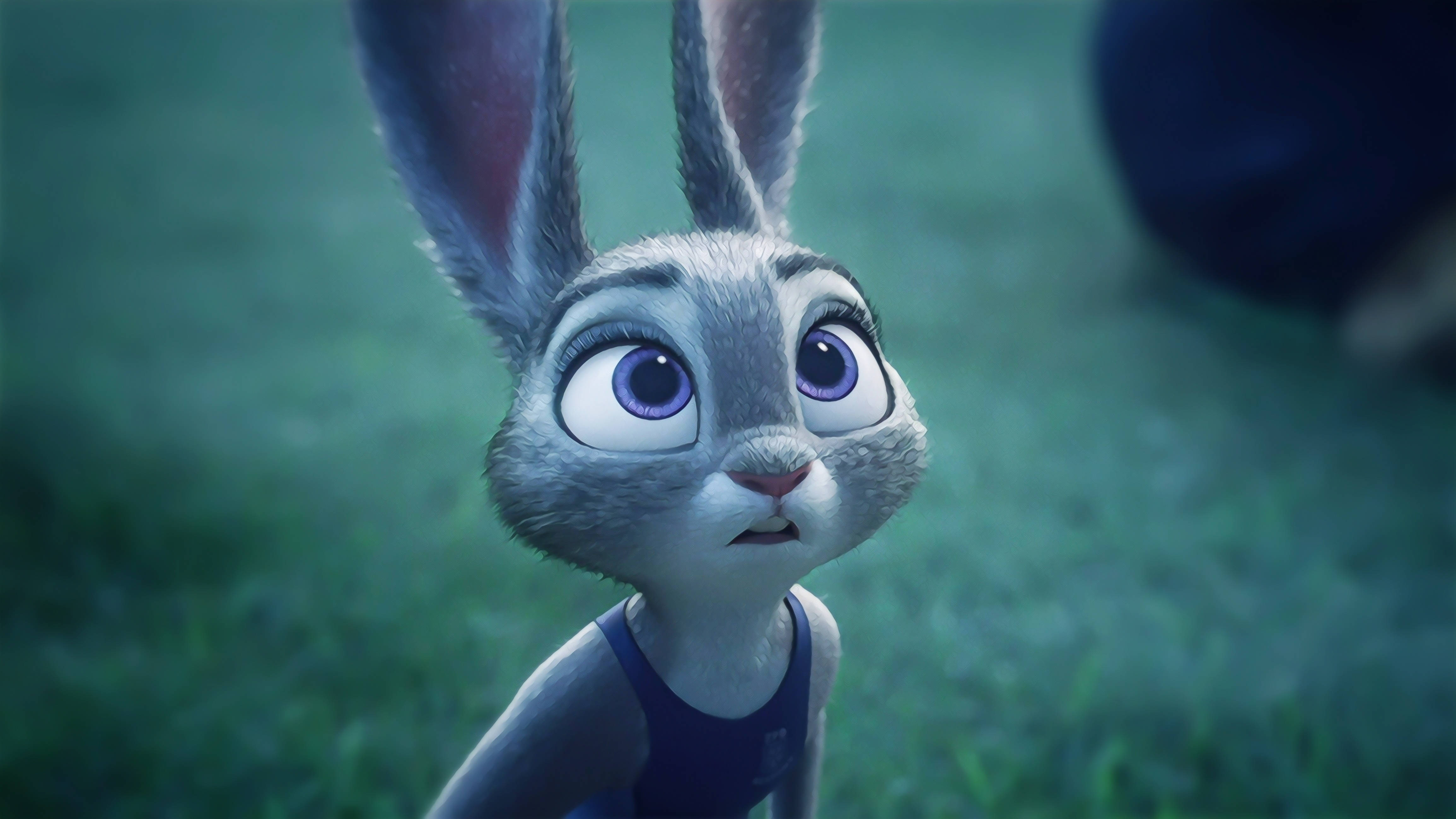 Judy Hopps, big blue eyes, grass, 4K Desktop Wallpaper