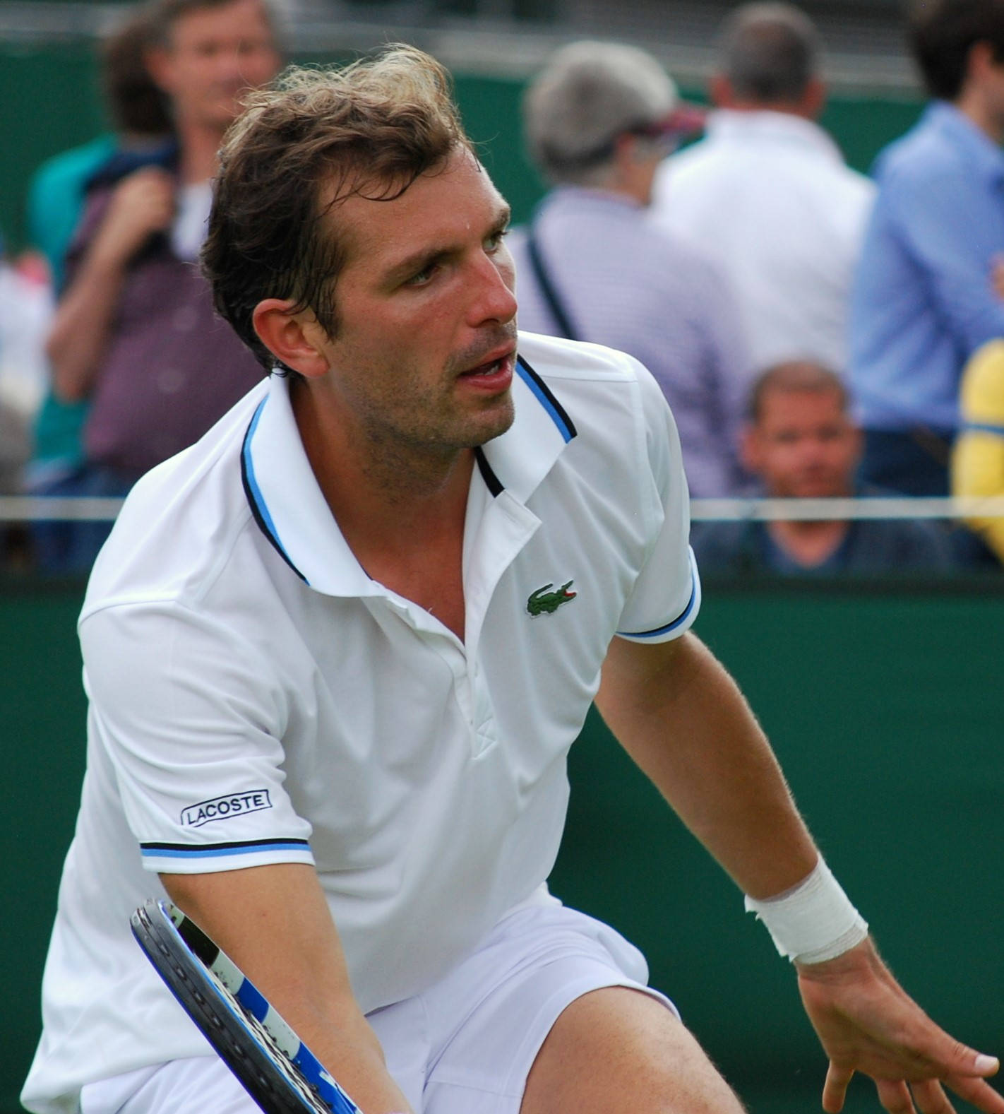 Julien Benneteau, white Lacoste gear, grass court, HD Phone Wallpaper