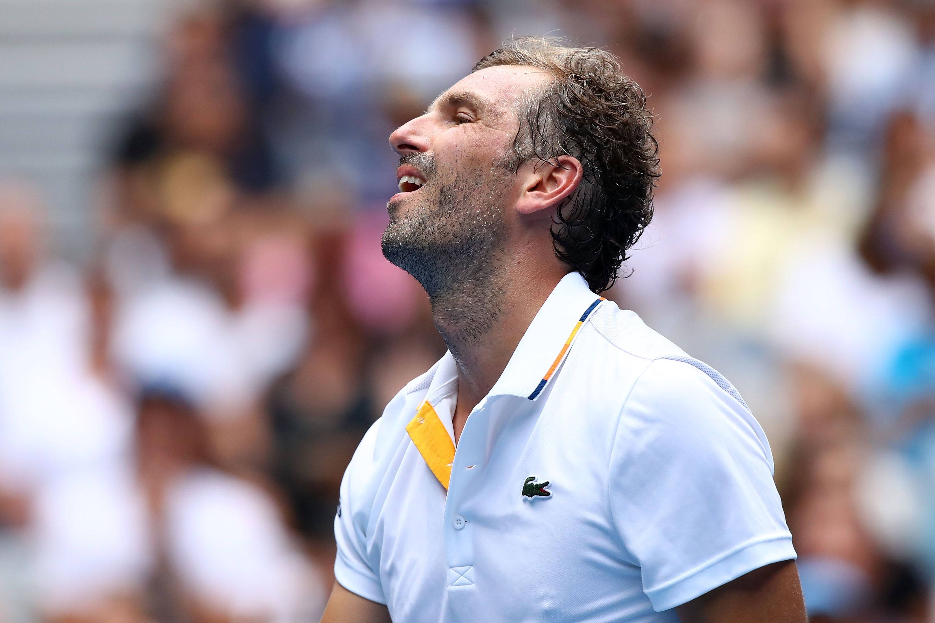 Julien Benneteau, white polo shirt, yellow collar, 2K Desktop Wallpaper
