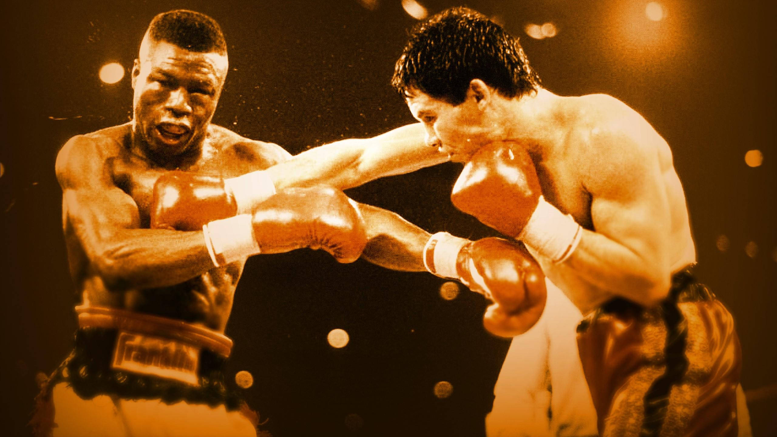 Julio Cesar Chavez, powerful left hook, ring fight, 2K Desktop Wallpaper