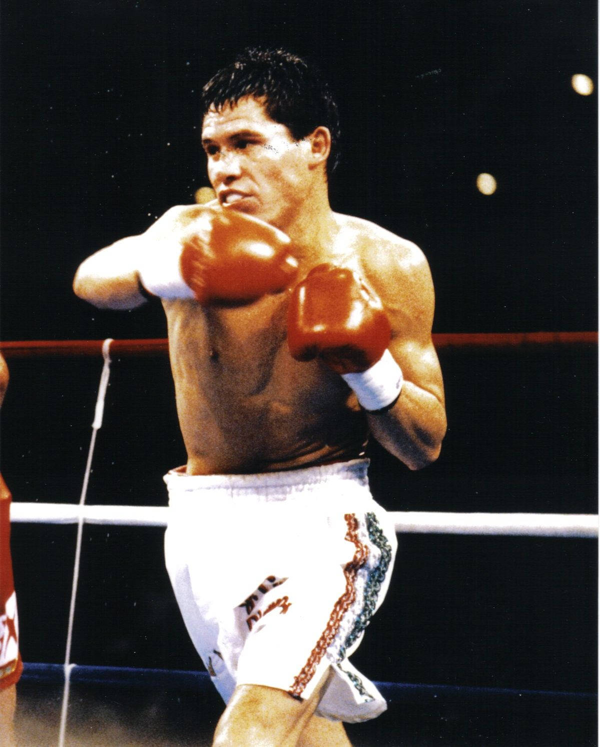 Julio Cesar Chavez, left hook, red gloves, HD Phone Wallpaper
