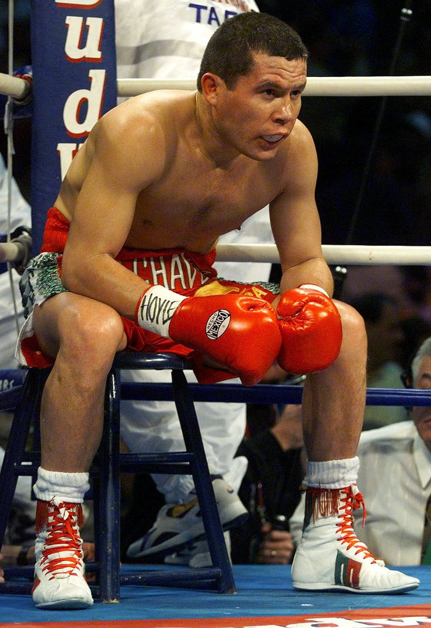 Julio Cesar Chavez, blue corner, red gloves, SD Phone Wallpaper