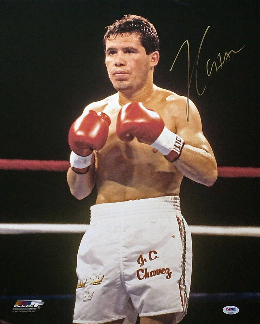 Julio Cesar Chavez, red gloves, white shorts, SD Phone Wallpaper