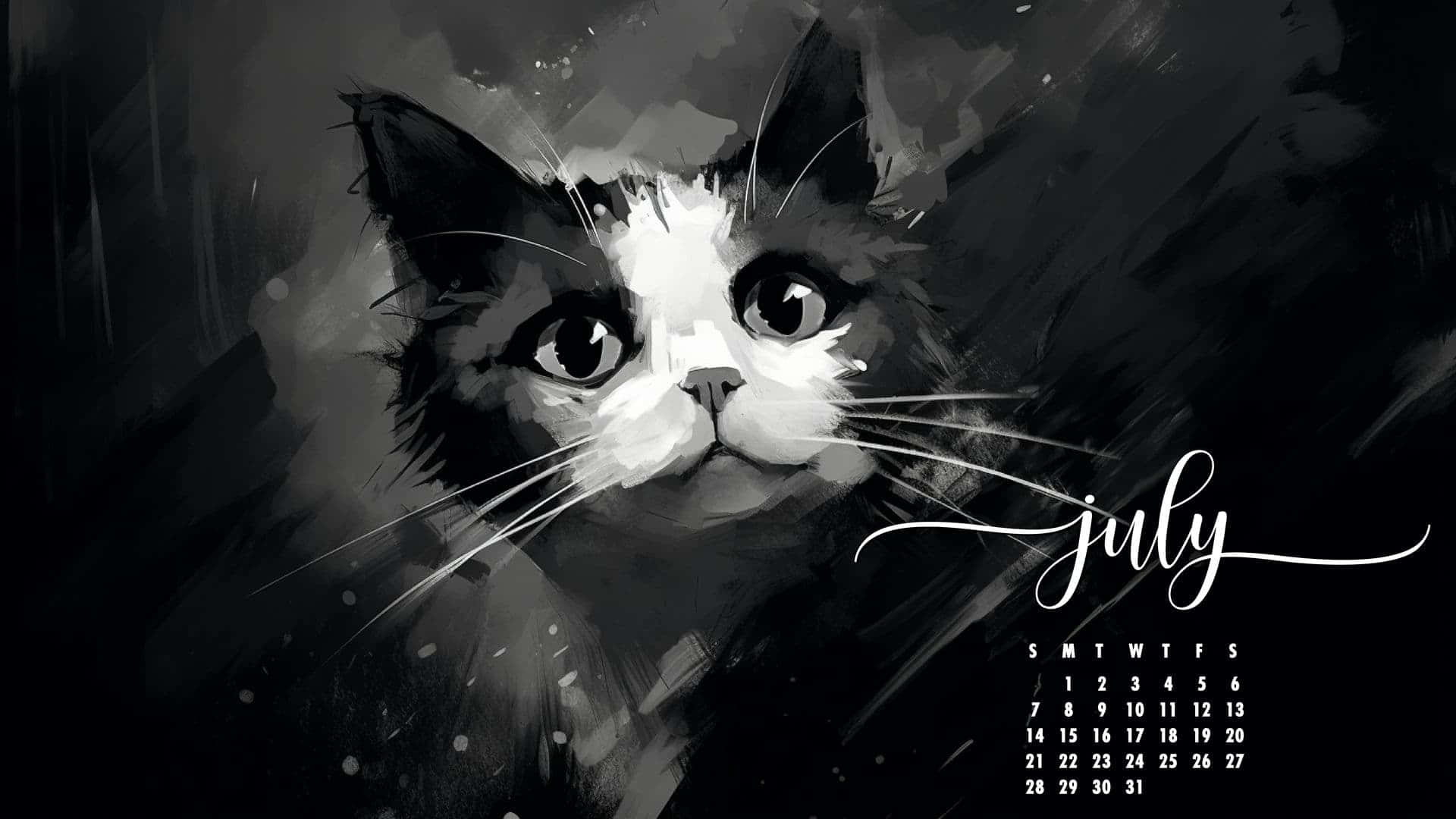 artistic cat, July calendar, black and white cat, Full HD Desktop Wallpaper