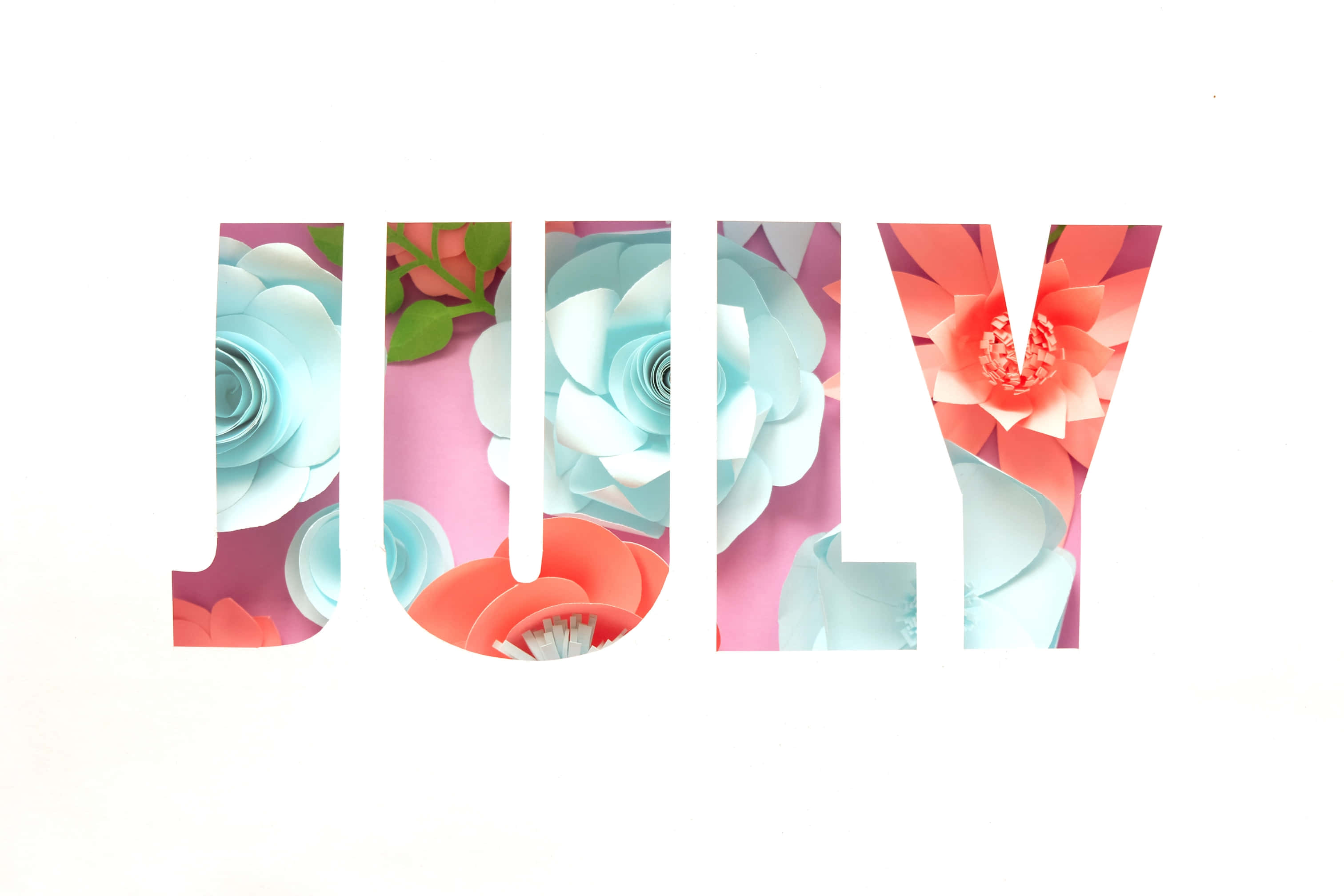 JULY, cutout paper flowers, coral, 2K Desktop Wallpaper