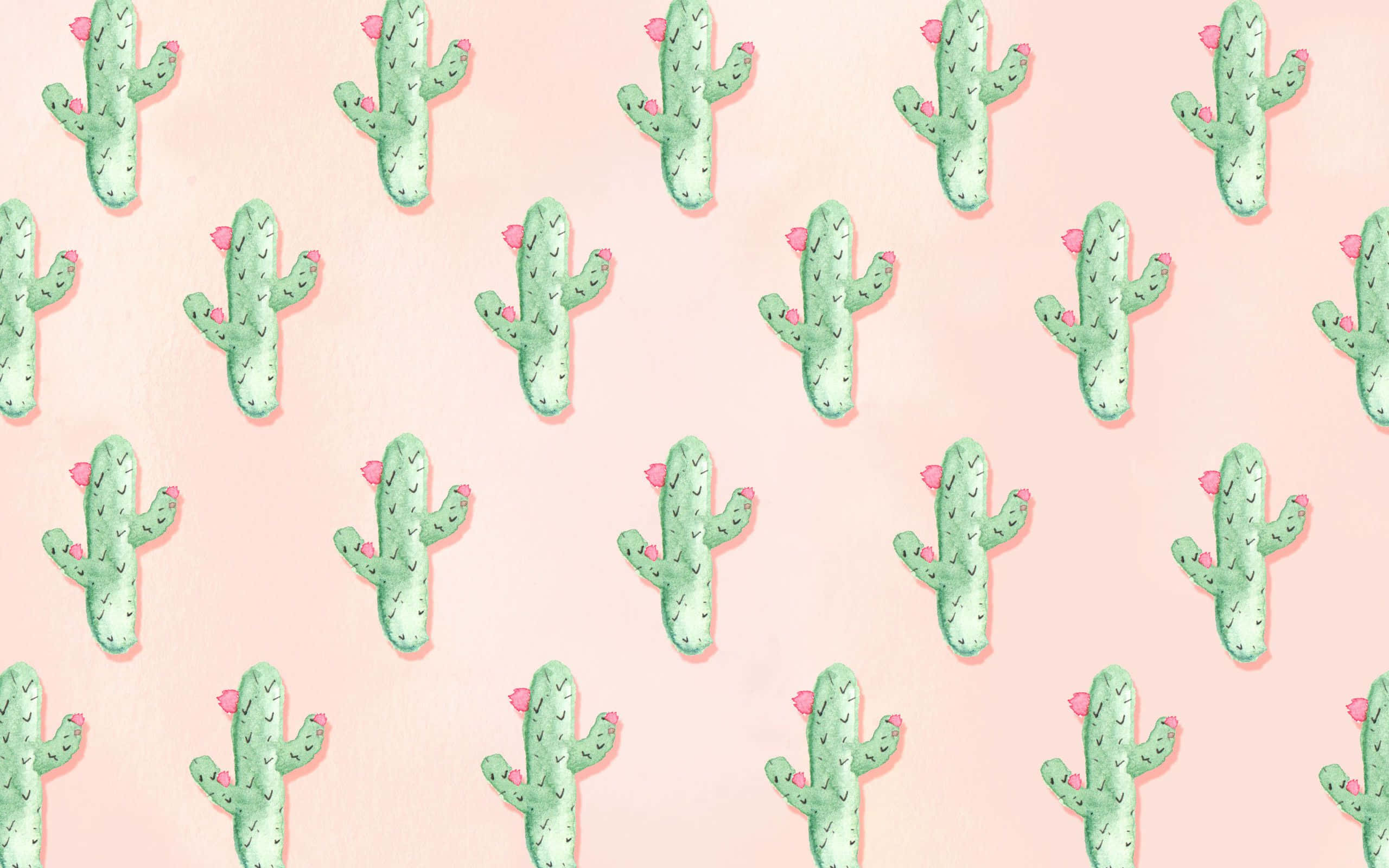 pastel pink background, cute green cacti, tiny pink flowers, 2K Desktop Wallpaper