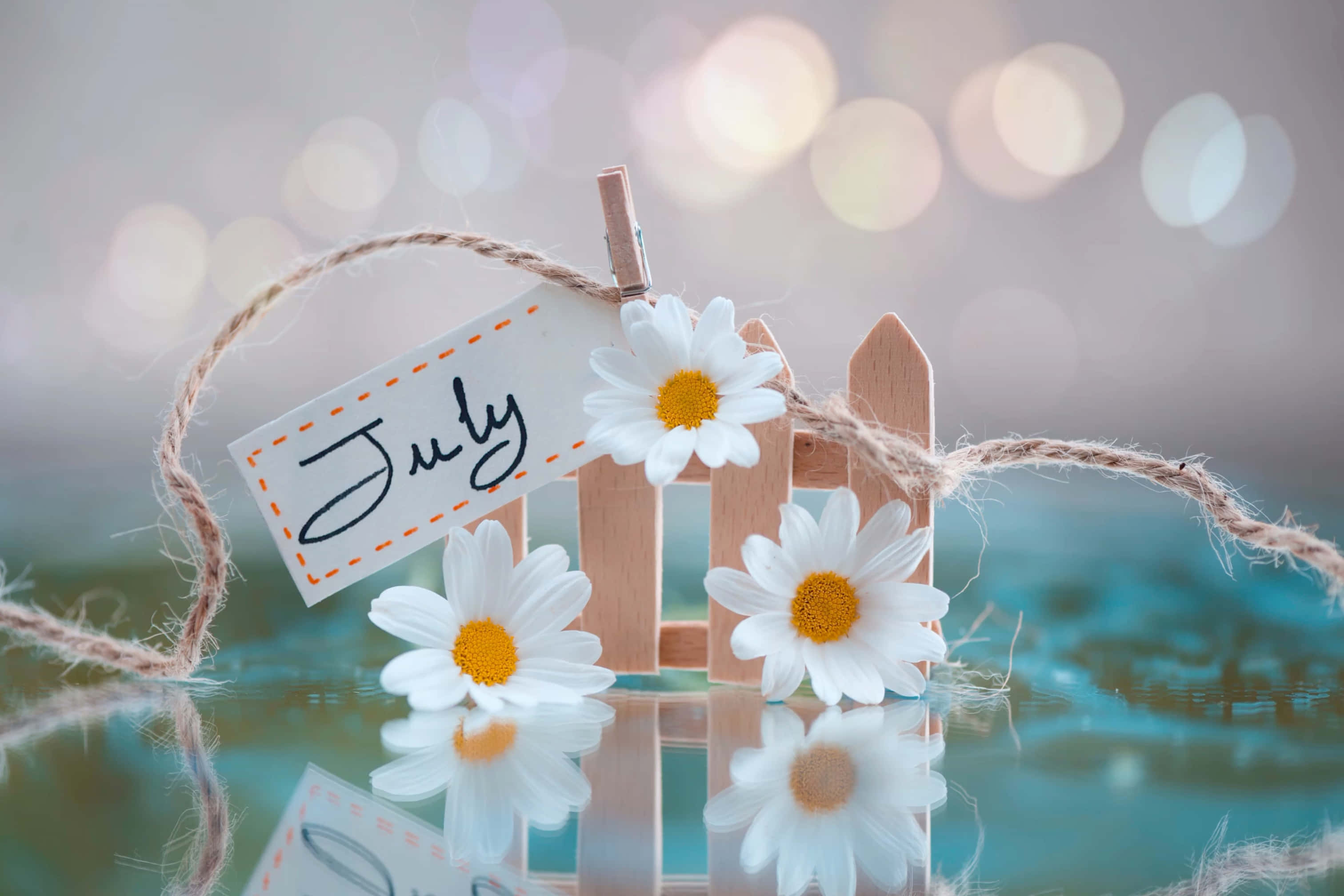July tag, daisies, miniature wooden fence, 2K Desktop Wallpaper