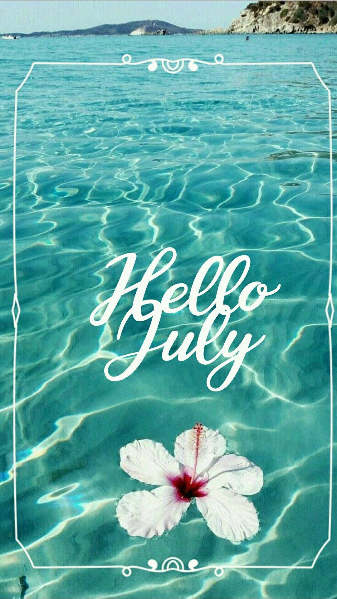 Hello July, white hibiscus, red center, Full HD Phone Wallpaper