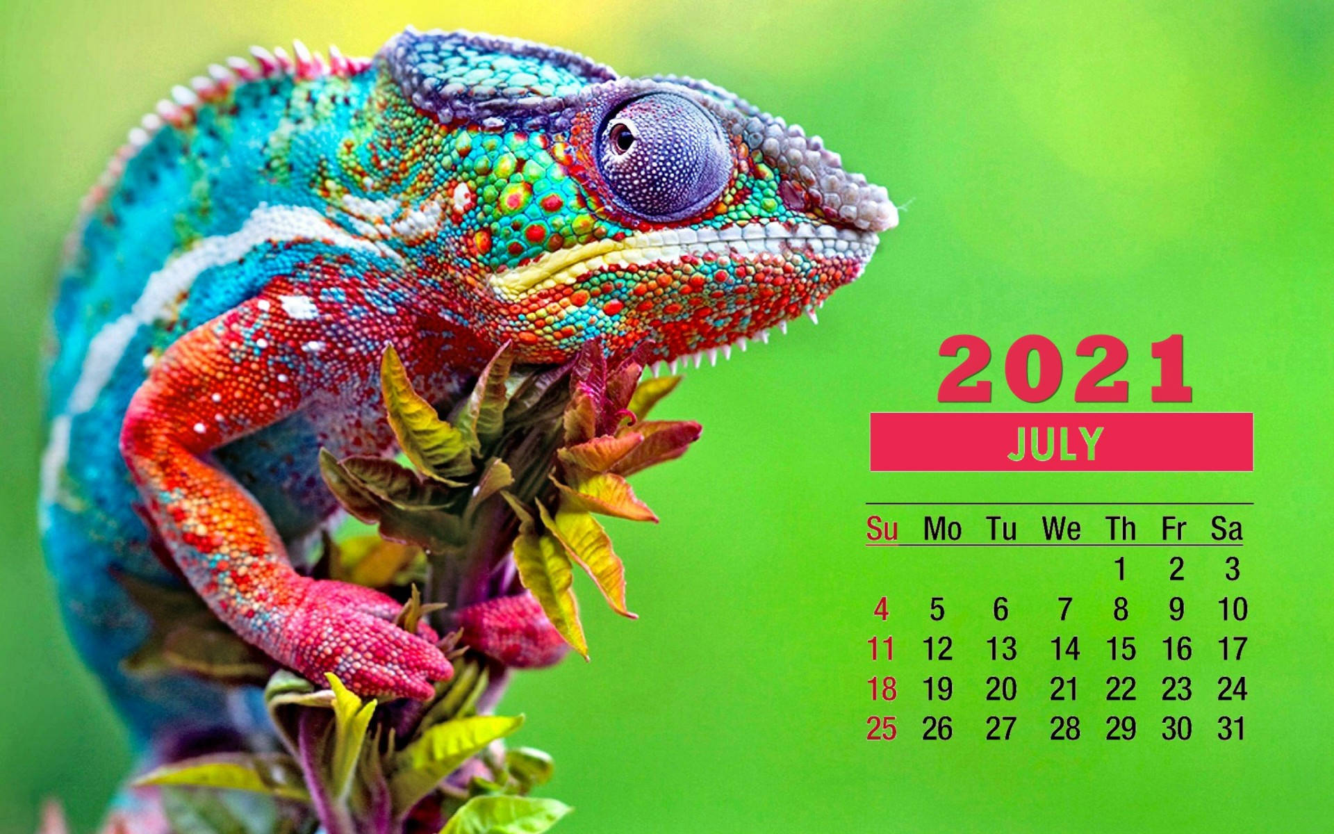 Colorful Chameleon 2021 Calendar, 2021 July calendar, iridescent scales, Full HD Desktop Wallpaper