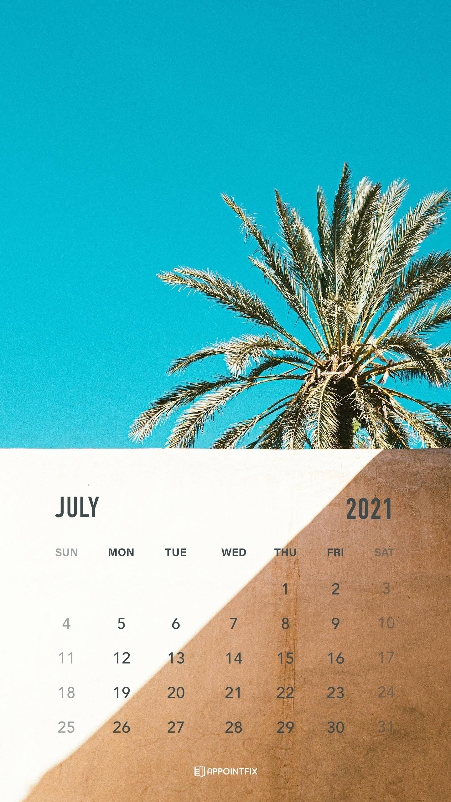 2021 calendar, palm tree, turquoise sky, 2K Phone Wallpaper