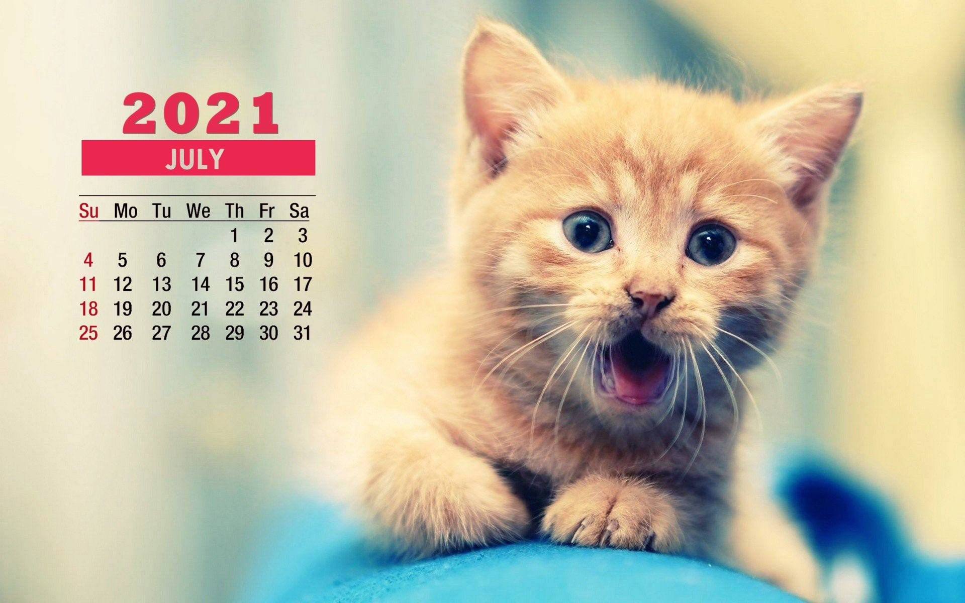 ginger kitten, wide eyes, open mouth, Full HD Desktop Wallpaper