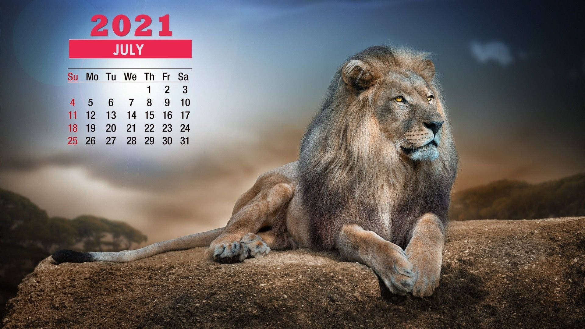 July 2021 calendar, lion, rocky outcrop, Full HD Desktop Wallpaper