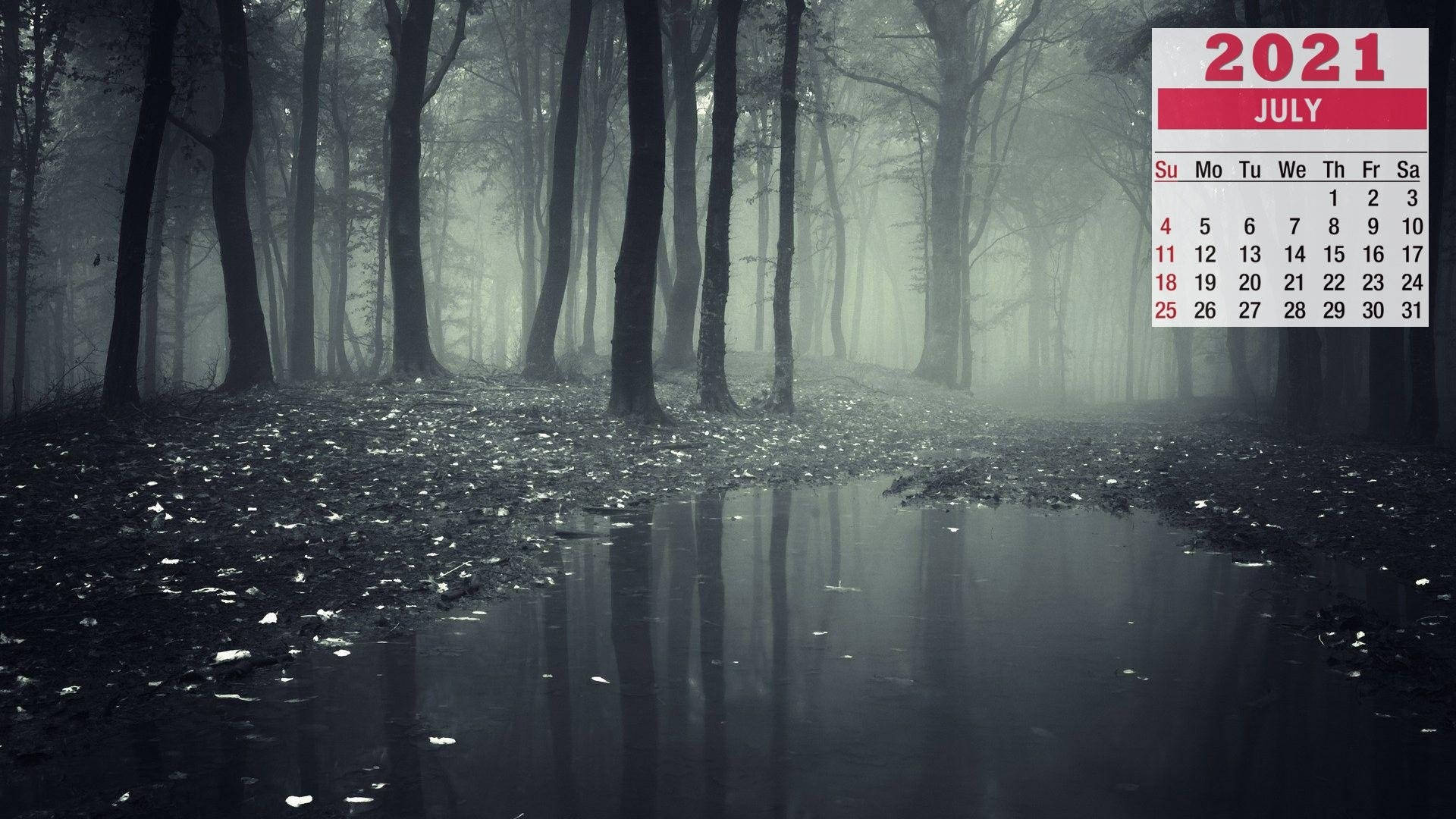 dark marsh, 2021 July calendar, misty forest, Full HD Desktop Wallpaper