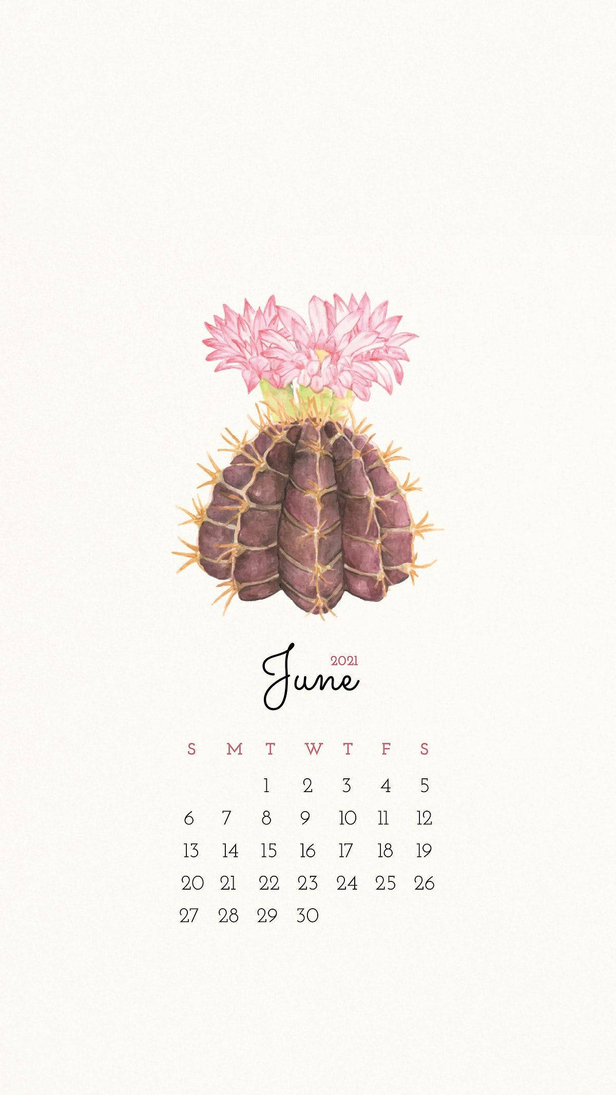 June 2021 calendar, purple cactus, pink flowers, Full HD Phone Wallpaper