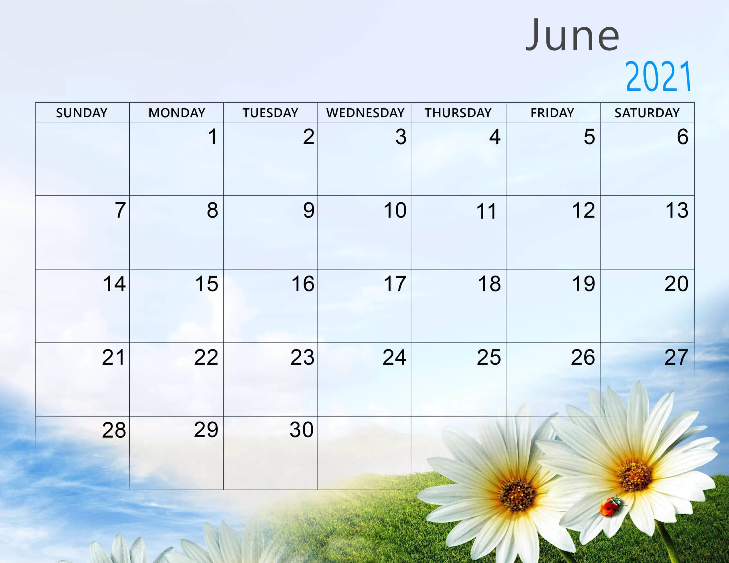June 2021 Calendar, white daisies, ladybug, 2K Desktop Wallpaper