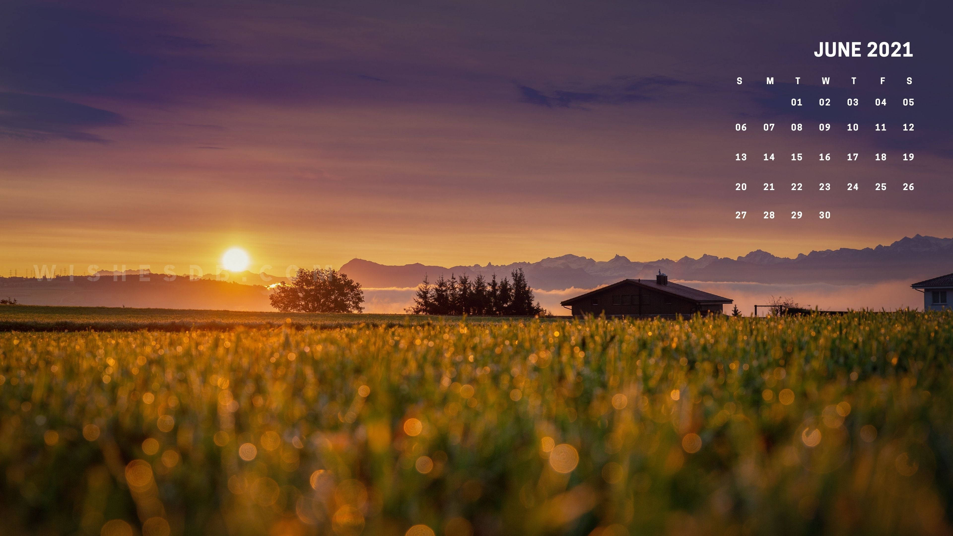 June 2021 Calendar, golden sunrise, grassy field, 4K Desktop Wallpaper