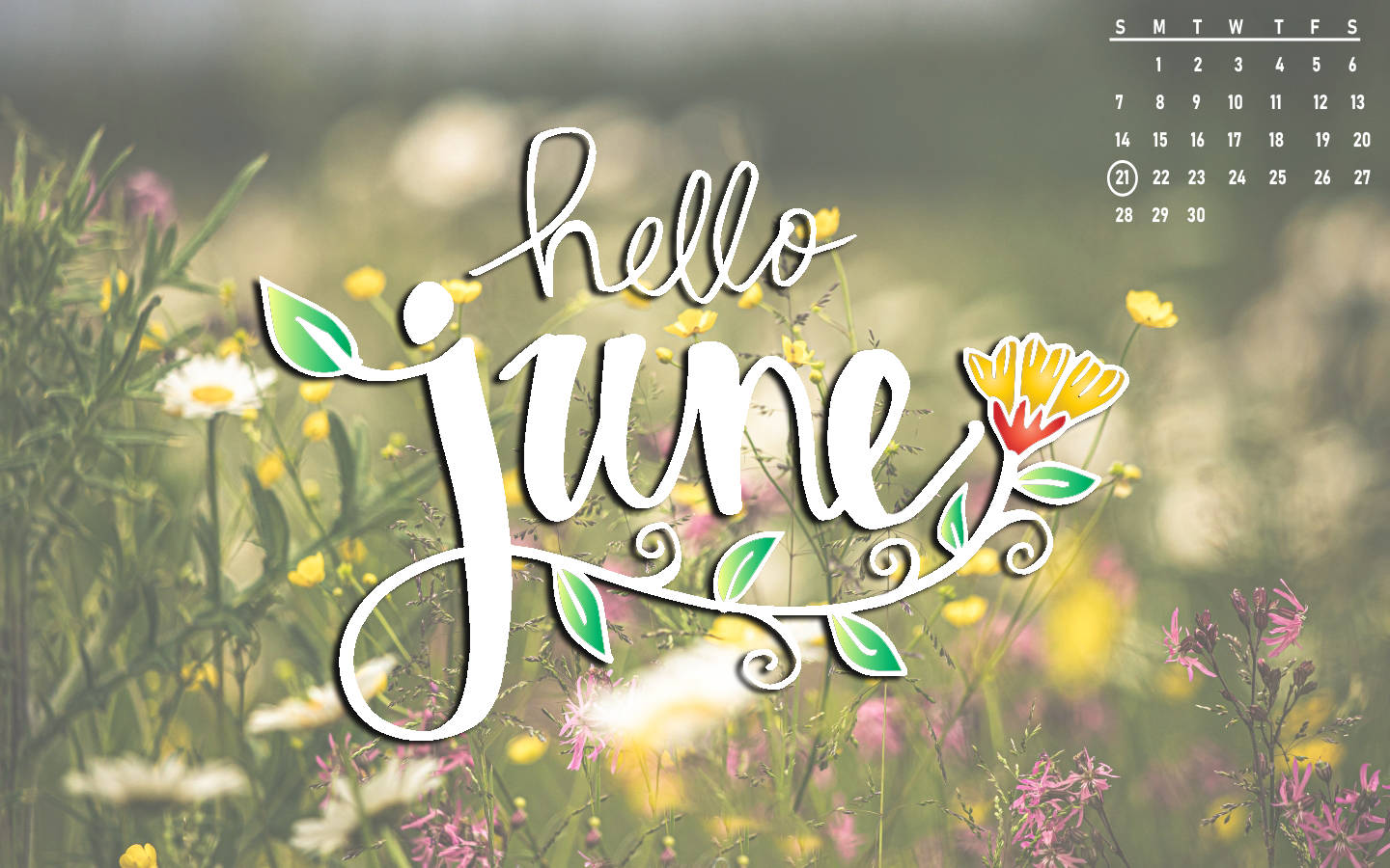 hello june, floral swirls, sunlit meadow, HD Desktop Wallpaper