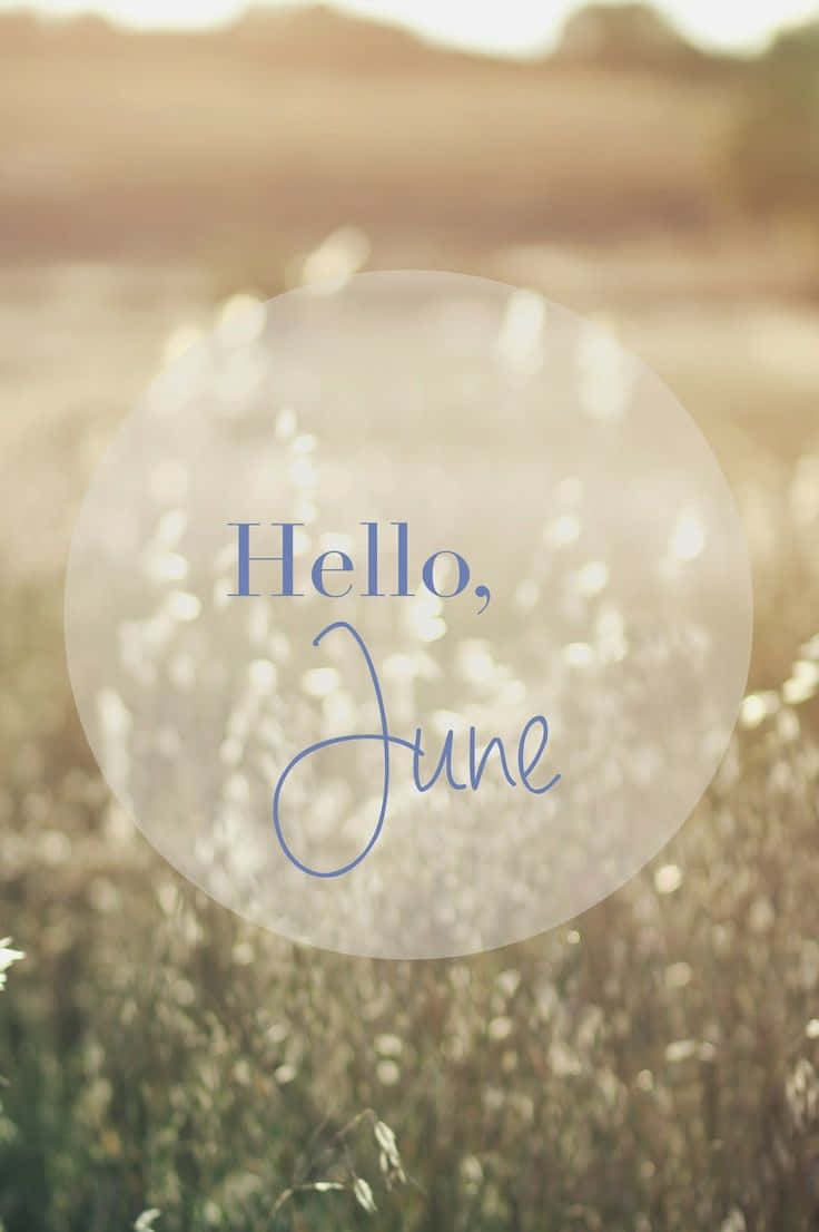 Hello June, golden field, tall grass, SD Phone Wallpaper