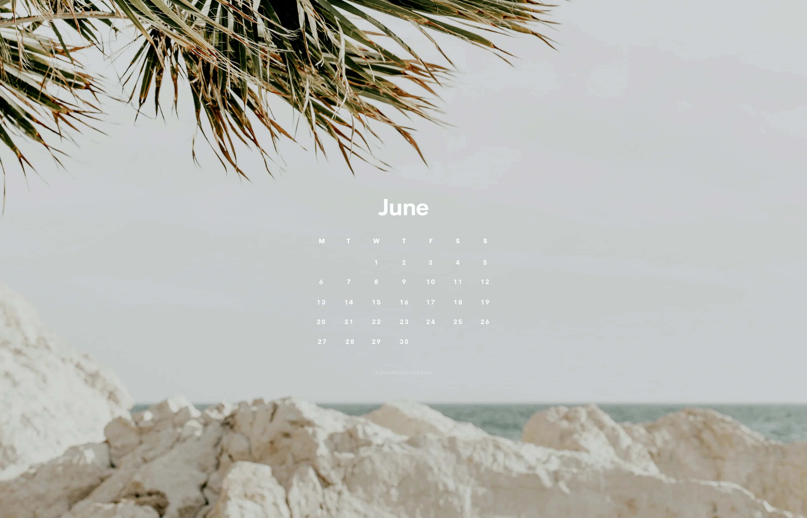 June Beach Calendar, coastal scene, palm fronds, 2K Desktop Wallpaper