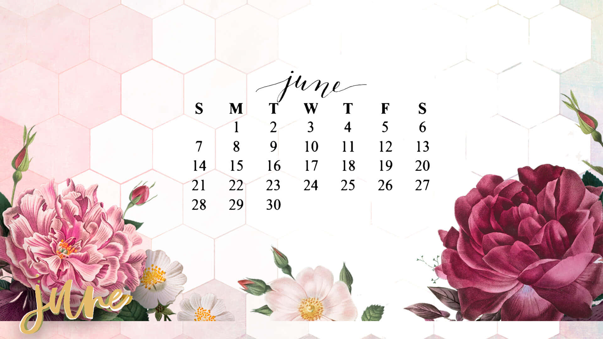 June, pink peonies, burgundy peonies, Full HD Desktop Wallpaper