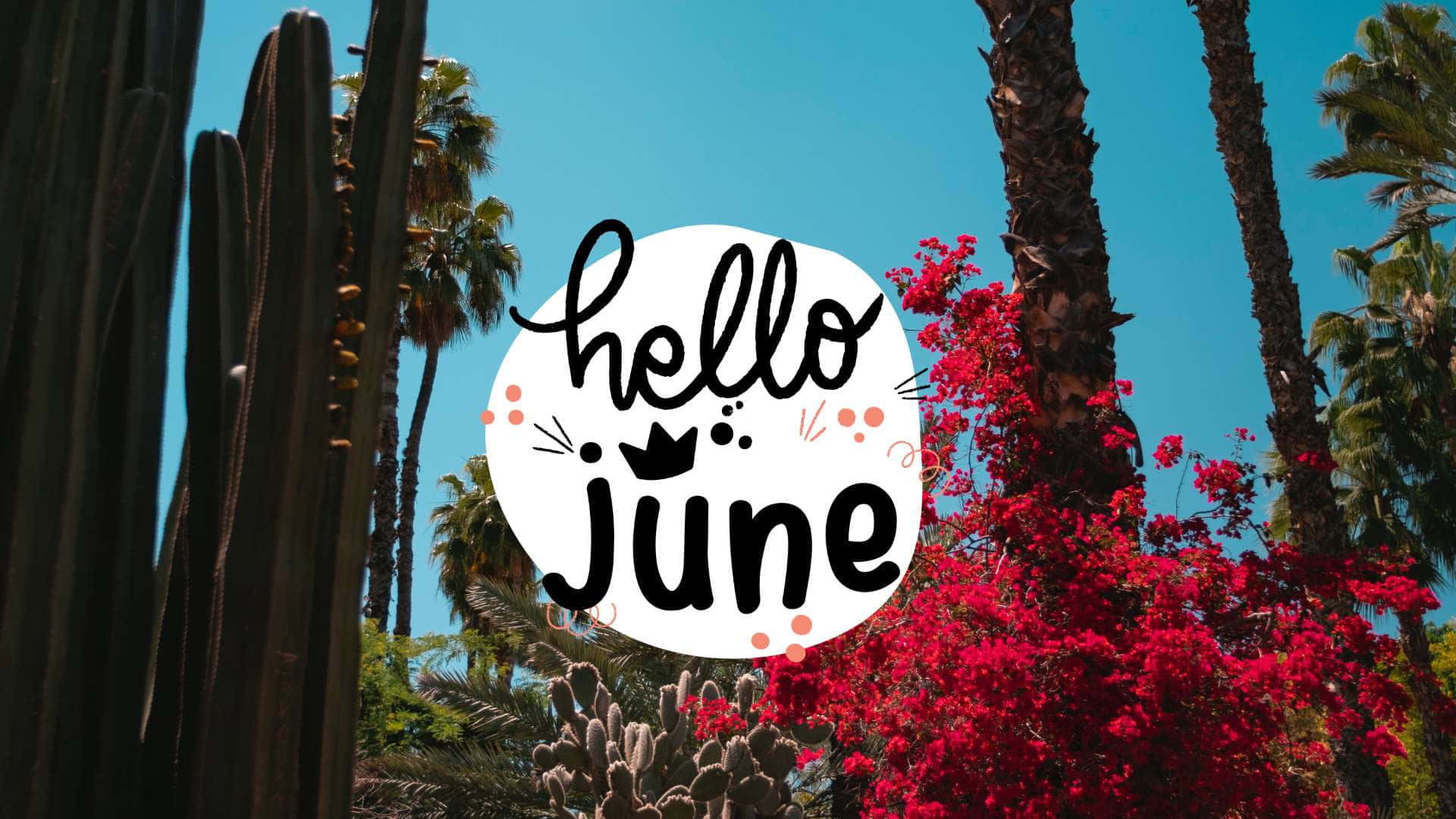 Hello June, tropical backdrop, vibrant red bougainvillea, Full HD Desktop Wallpaper