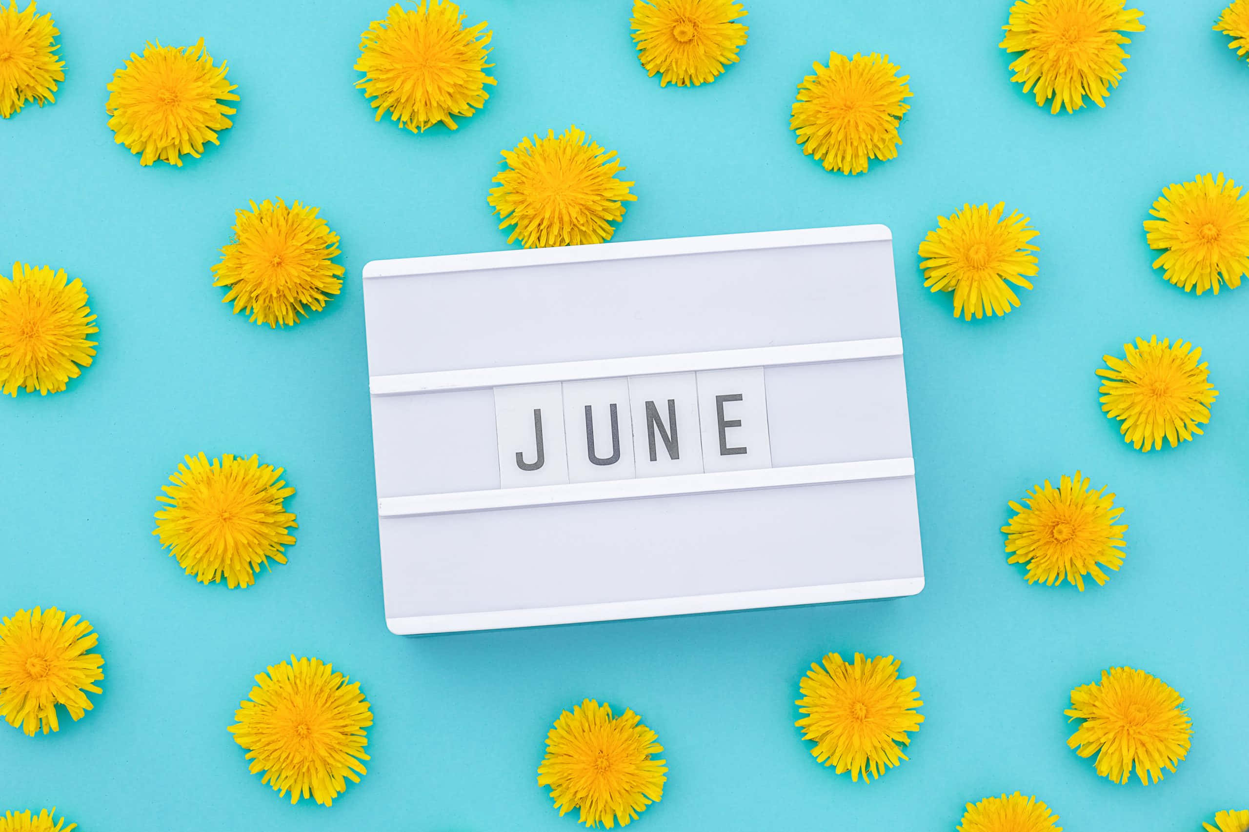 JUNE, dandelions, bright turquoise background, 2K Desktop Wallpaper