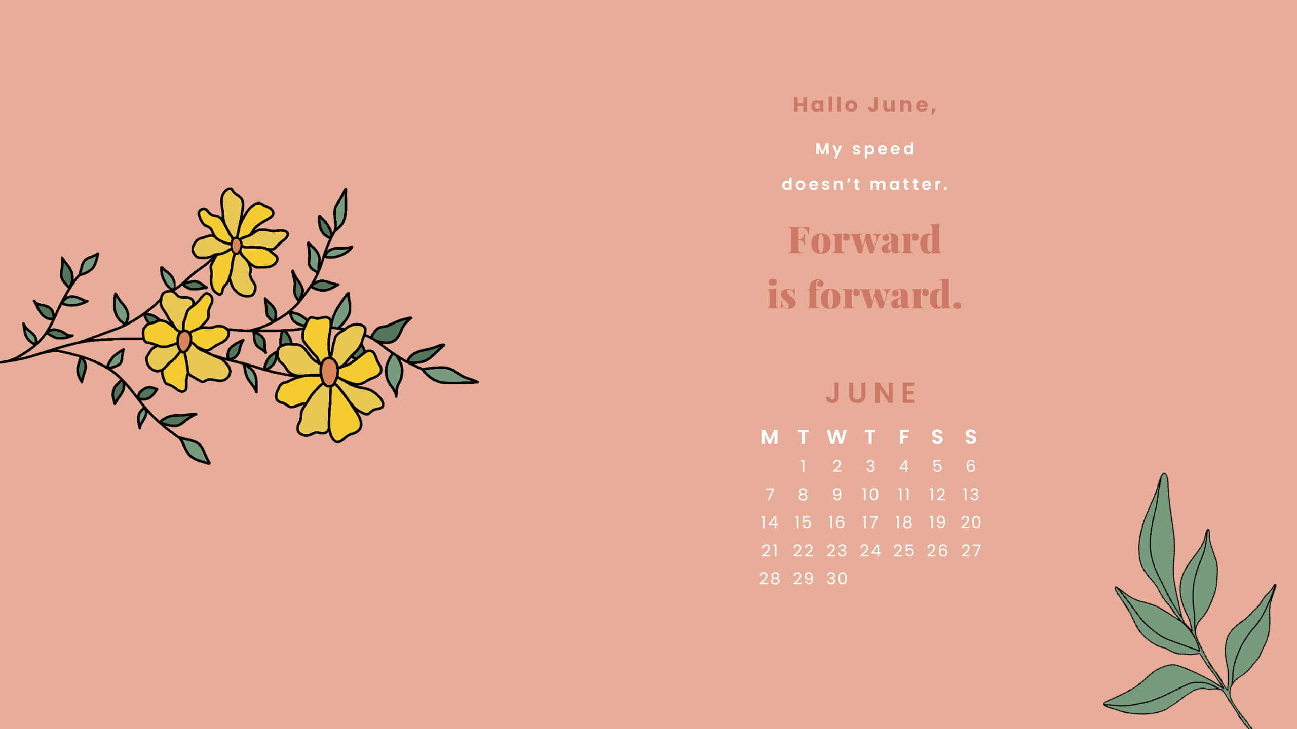 peach, yellow flowers, June calendar, 2K Desktop Wallpaper