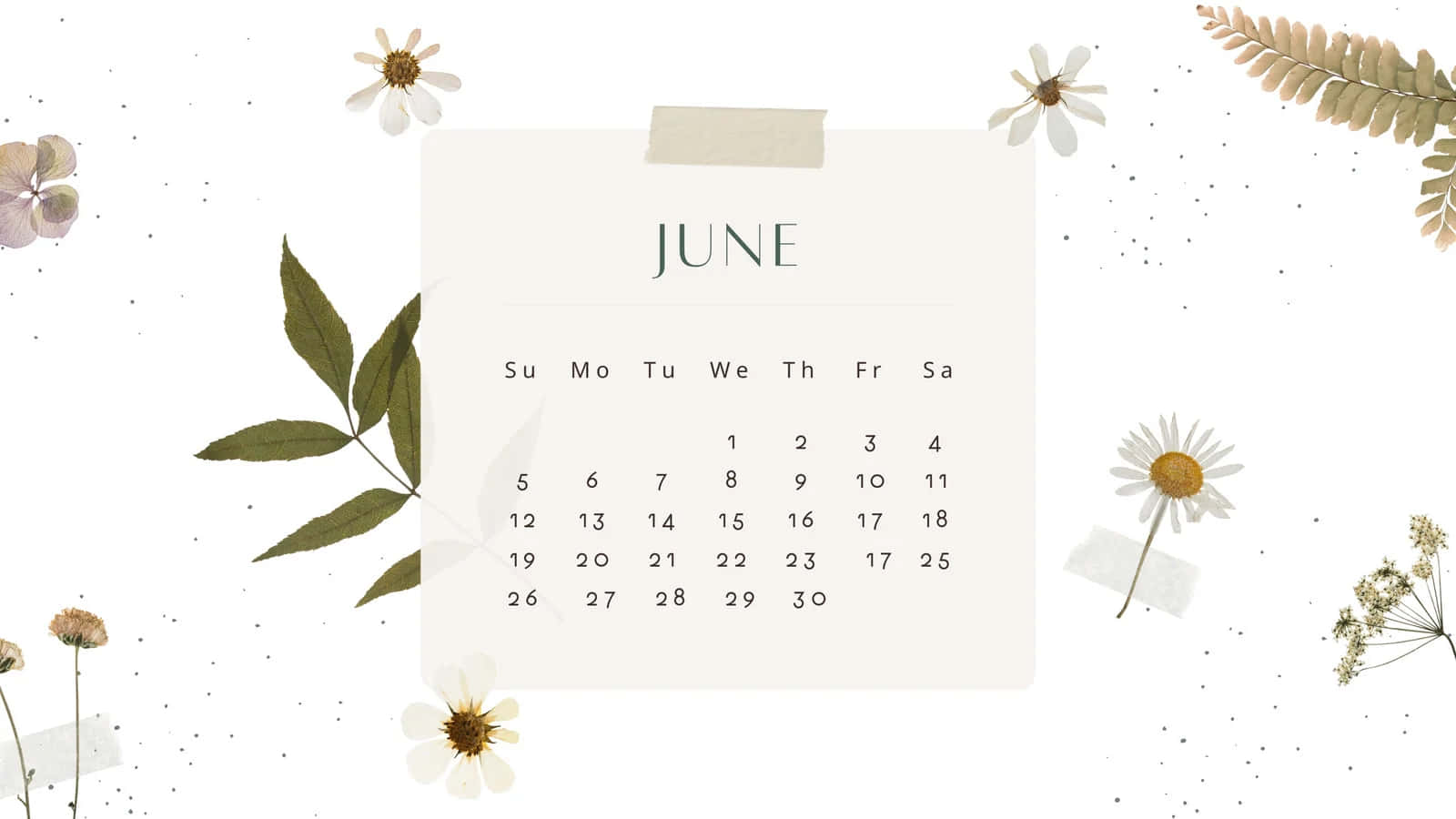 June Desktop, floral design, dried flowers, HD Desktop Wallpaper