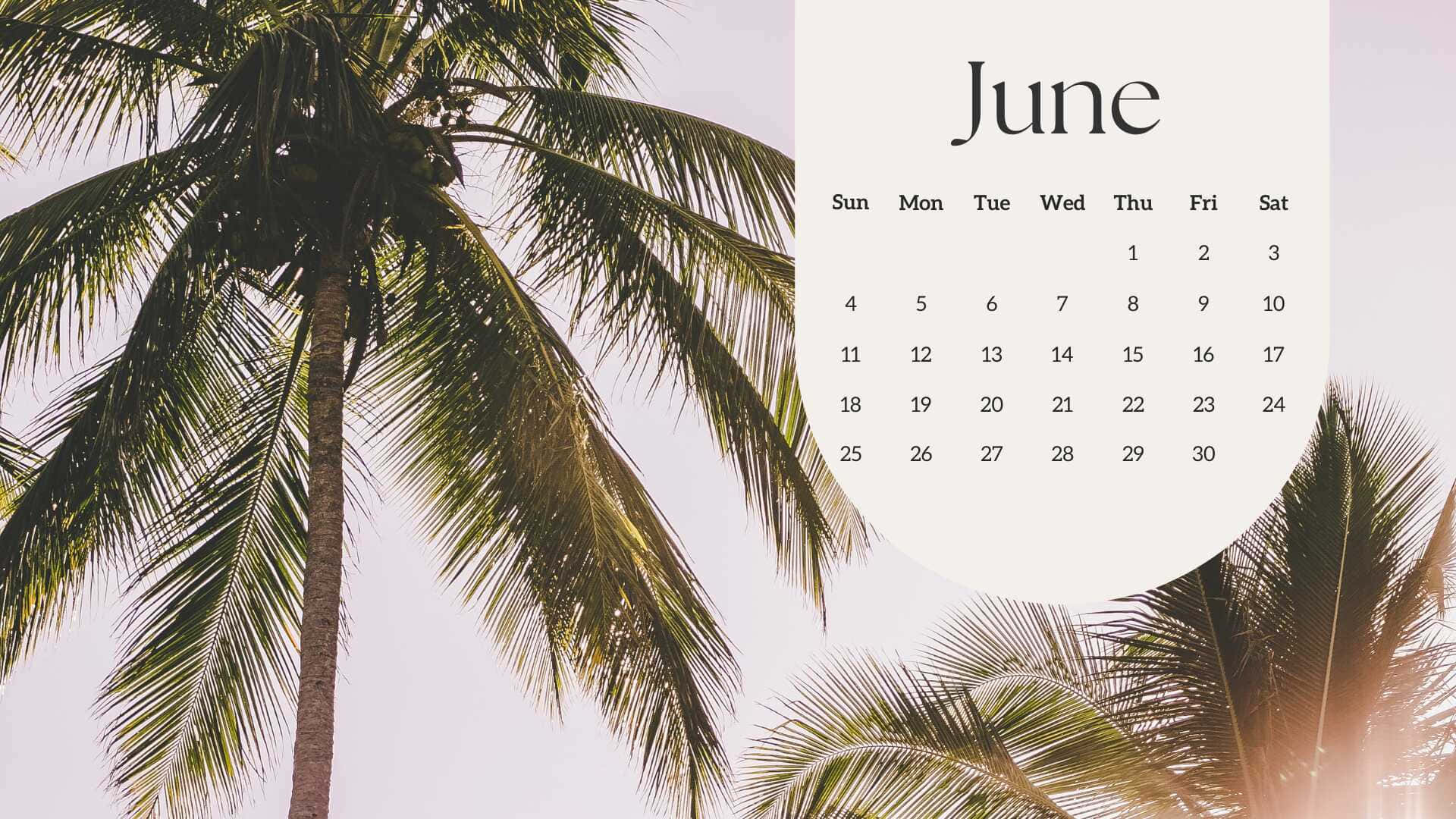 Tropical June Calendar Background, palm fronds, golden sunlight, Full HD Desktop Wallpaper