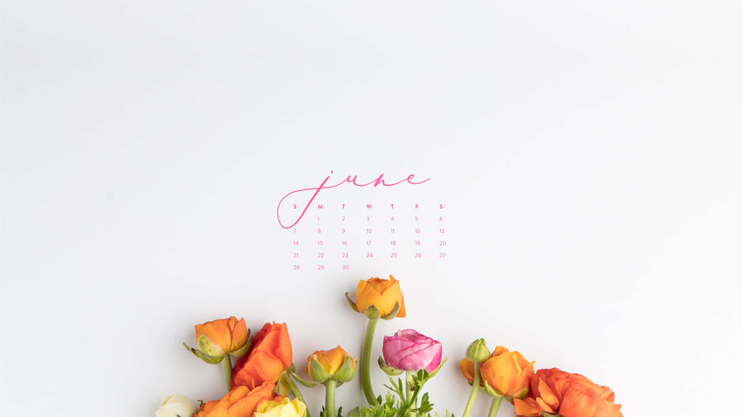 June Desktop, floral theme, pink script, 2K Desktop Wallpaper