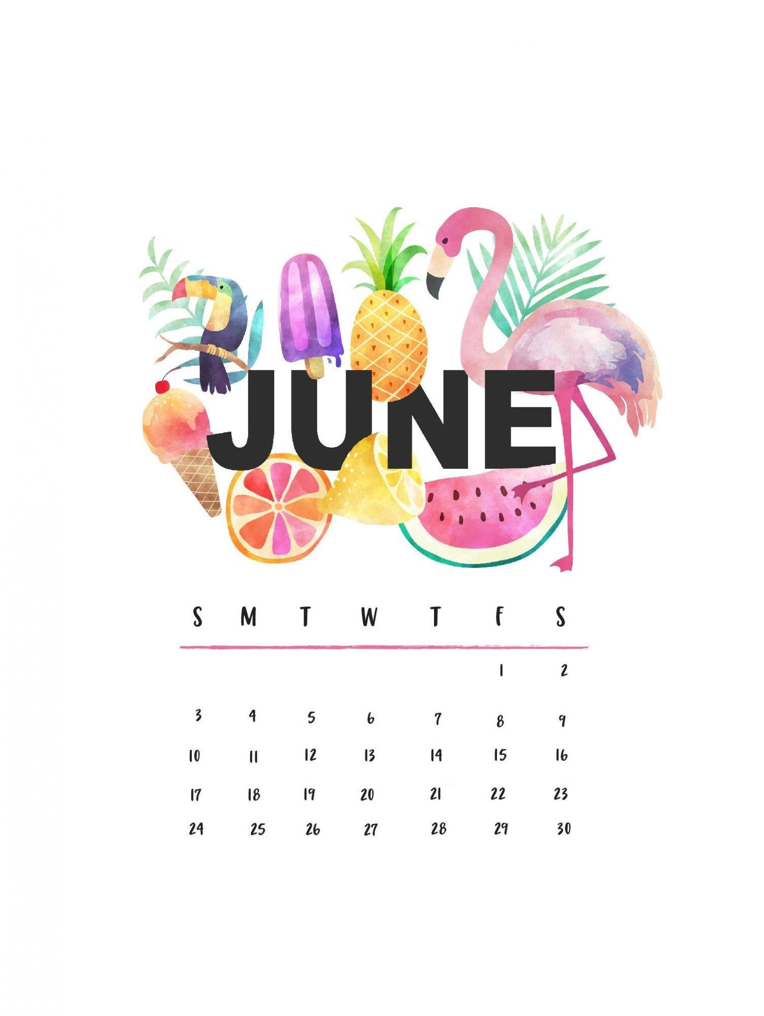 June, tropical, flamingo, Full HD Phone Wallpaper